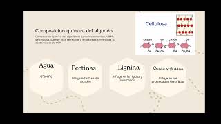 FIBRAS NATURALES DE CELULOSA Y ALGODÓN [upl. by Gurtner]