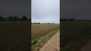 The fens 🇬🇧cambridgeshire hiking 👍🇬🇧 [upl. by Aruol]