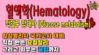 임상병리 국가고시 혈액학Hematology 적혈구 당대사  생화학  glucose 대사 요점정리 [upl. by Siriso8]