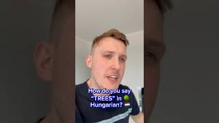 hungarian magyar hungary language joke funny fun humor vicces viral pálpeti [upl. by Nelad51]