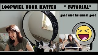 LOOPRAD voor KATTEN iets met tutorial [upl. by Majka217]