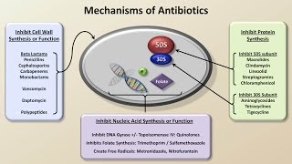 Mechanisms and Classification of Antibiotics Antibiotics  Lecture 3 [upl. by Mot]