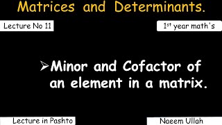 Minor and Cofactor of an element in a matrix [upl. by Llewkcor]