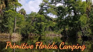 Primitive Florida camping viral nature doglover floridaoutdoors river wildlife canoecamping [upl. by Rolyab]