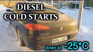 25 degree Diesel cold starts  compilation Uruchamianie silnika diesla na mrozie zimą S4E70 [upl. by Constanta]