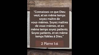 Verset Biblique Du Jour  2 Pierre 16  Maîtrise de soi et persévérance pour grandir en foi [upl. by Darnok]