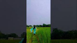 Meghali suli 😊 youtubeshorts assamesereels dance viralreels viralvideo [upl. by Kerge]