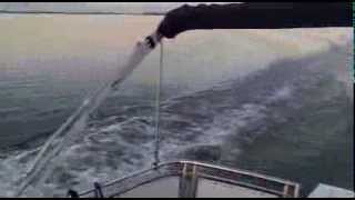 Elling E4  14 knots on markermeer with sunsetmp4 [upl. by Anij]