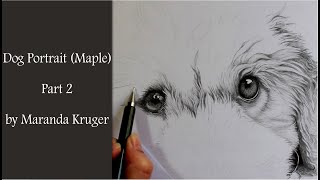 Drawing Timelapse  Dog Portrait of Maple Part 2 [upl. by Neirad]