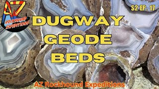 Rockhounding Utah Dugway Geode Beds [upl. by Zeb698]