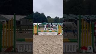 Shadow going double clear in the PC 70cm showjumping at regional championships 😍😍 horsey horse [upl. by Ensoll683]