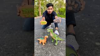 Rc Pet vs Remote Control Dinosaur 🦖 Testing [upl. by Nitsej]