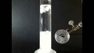 Fizroy Storm Glass and Temperature [upl. by Ylluz]