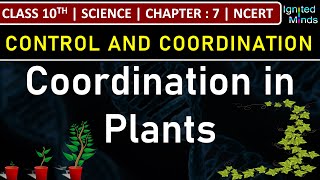 Class 10th Science  Coordination in Plants  Chapter 7  Control and Coordination  NCERT [upl. by Holmun]