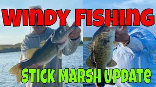 Headwaters Lake Windy day Bass Fishing Tips Stick Marsh Update [upl. by Atinna605]