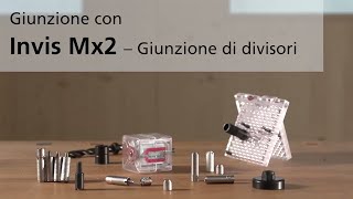 Lamello Invis Mx2  Giunzione dei divisori [upl. by Winshell]