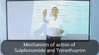 Mechanism of action Sulphonamides and Trimethoprim [upl. by Uv]