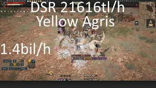 BDO Darkseeker Retreat Awakening Nova 316AP 21616h yellow agris 2eventsh [upl. by Nylear]