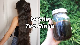 Nettle Tea Rinse for Healthy Hair  Scalp  Summer Growth Challenge ♡ [upl. by Gerek]