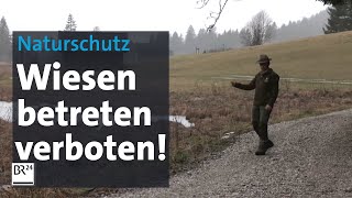 Betretungsverbote für Wiesen Rücksichtsvoller Umgang mit der Natur  Abendschau  BR24 [upl. by Ynetsed]