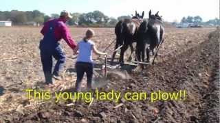 Plow Day Goldsboro North Carolina [upl. by Florentia]