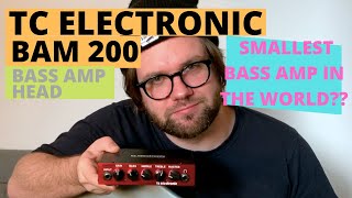 Tech 21 VT Bass 500  Amp Rundown [upl. by Odraboel]