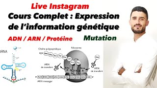 لايڤ مرطوني Cours complet  expression de l’information génétique  ADNARNProtéine [upl. by Neron]