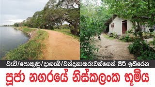 පූජා භූමිය අසල අක්කරයක ගෙදර 🇱🇰 Low Budget House Sale in Sri Lanka Ape Sudu Malli  සුදු මල්ලි [upl. by Nallaf653]