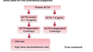 ACTH and Cortisol [upl. by Anayra]