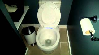 Kohler LED Toilet Seat [upl. by Asor]