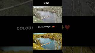 RAW FILE COLOR GRADING IN CAP CUT OIIloosu143 [upl. by Amber]