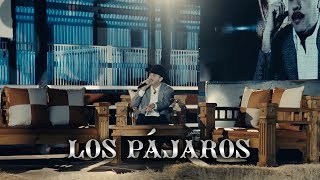 Joel Elizalde  Los Pájaros En Vivo [upl. by Adriaens246]