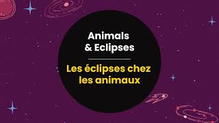 Animals amp Eclipses  Les éclipses chez les animaux [upl. by Akirderf]