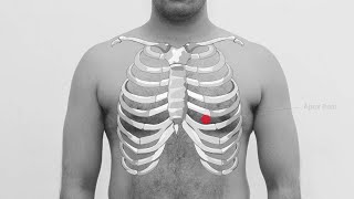 PALPATION OF CHEST AND ABDOMEN [upl. by Biancha]