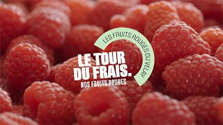 Grand Frais  Le Tour du Frais avec Pauline productrice de fruits rouges [upl. by Killigrew]