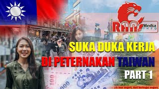 SUKA DUKA KERJA DI PETERNAKAN TAIWAN  PIERRE 1 [upl. by Paule]