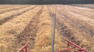 Lely superzip 380 Tedder rake rowing up straw harvest time [upl. by Rawde839]