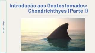 Introdução aos Gnatostomados Chondrichthyes Parte I [upl. by Sunshine]