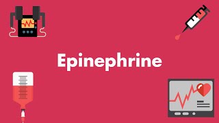 Epinephrine  Vasopressors amp Inotropes  MEDZCOOL [upl. by Tiena]