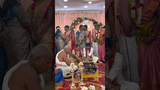 Kalyanam Marriage Day  shorts vlog mbbs neet minivlog 22 [upl. by Tenahs412]