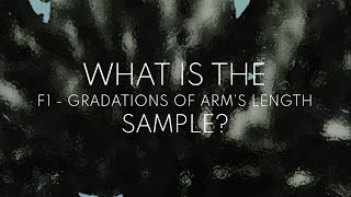 what is the gradations of arms length sample [upl. by Wylen]