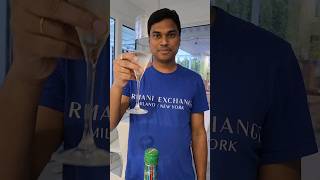 Vodka Martini cocktail James bond style  Telugu  Vlog recipe cocktail trending [upl. by Nerag]