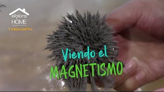 Viendo el Magnetismo 🧲  Valija Científica de EXPLORA [upl. by Pirzada]