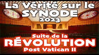 Le Synode 2023 sous les yeux du serpent   La ruine de lÉglise ou laboutissement de Vatican 2 [upl. by Derfiniw921]