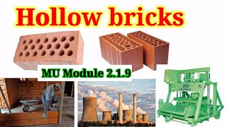 Secrets of Building with Hollow Bricks The Surprising Results [upl. by Lise]