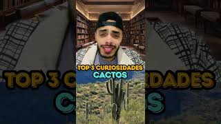 CACTOS  TOP 3 CURIOSIDADES [upl. by Winona]