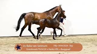 46 Us Balia van Seldsum [upl. by Ifar]