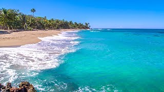 Dominican Beach with Waves Rolling  Natural Background With Ocean Sounds [upl. by Natica]