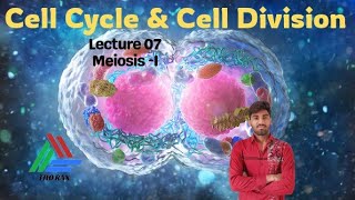 Cell Cycle and Division l Lecture 07 l Thorax100 [upl. by Moulton526]