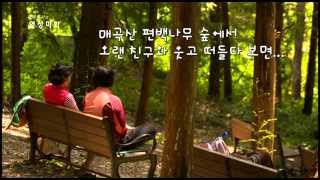 광주 산책로매곡산편백나무 피톤치드 힐링 [upl. by Africa108]